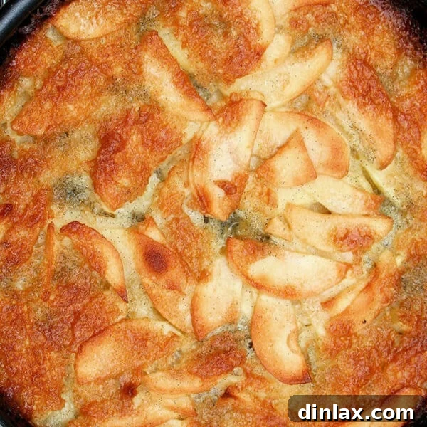 A whole Bolzano apple cake, golden brown and inviting.
