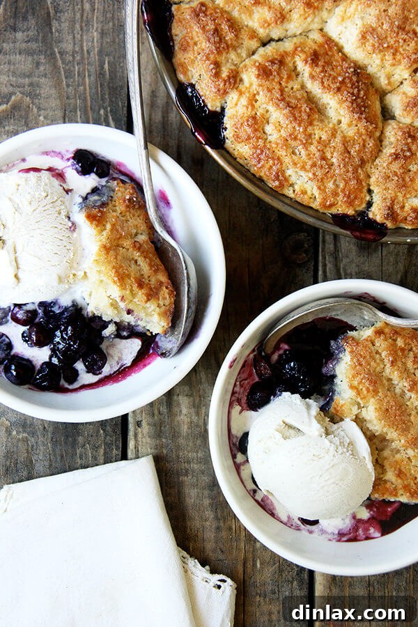 Delicious Blueberry Cobbler