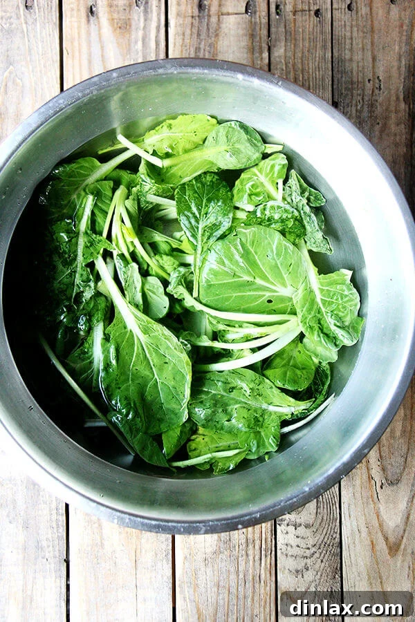 Week 4 CSA: Buttermilk Bliss, Green Revival, and Pickled Perfection 5 Freshly revived tatsoi greens, looking crisp, vibrant, and fully rehydrated after soaking in cold water, ready to be used in a salad or cooked.