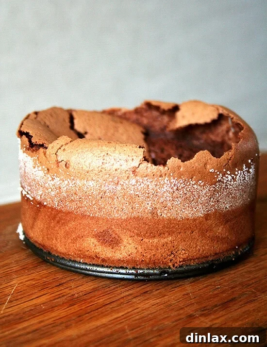 Mini flourless chocolate cakes, a rich and decadent dessert perfect for holiday gatherings or a special treat. These individual portions are ideal for sharing or indulging.