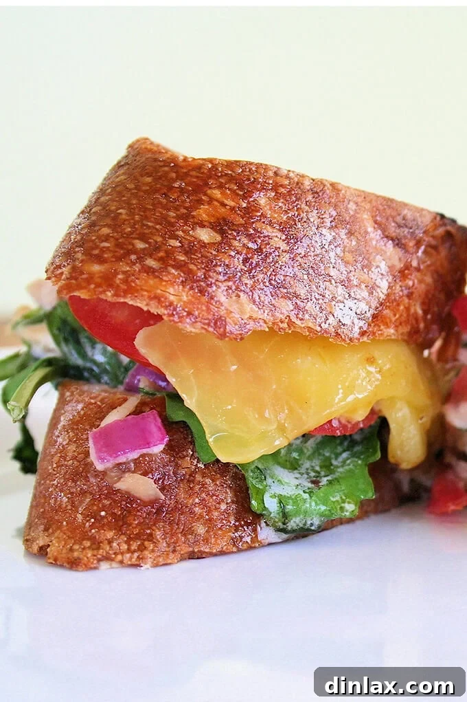 American Tuna melt - a delicious and sustainable choice for a healthy meal