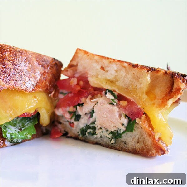 Delicious tuna melt sandwich made with American Tuna, perfectly golden brown