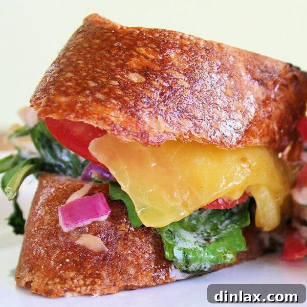 American Tuna melt, a perfect comfort food made with sustainable tuna