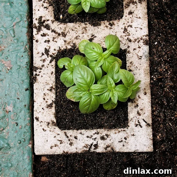 Various herbs like basil, cilantro, and oregano planted in individual cinder block holes.