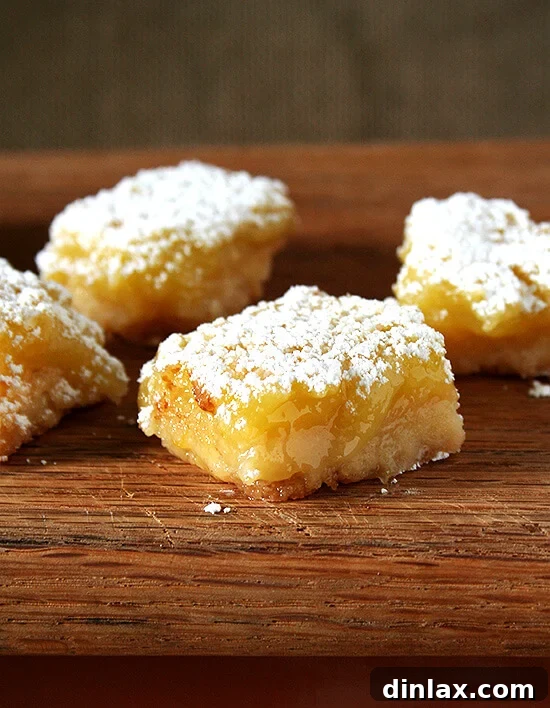 Classic Shower Desserts: Lemon Bars and Brownies A delectable duo of shower desserts: golden lemon bars and rich chocolate brownies, with a bonus red velvet cupcake, ready to delight any sweet tooth at a special event.