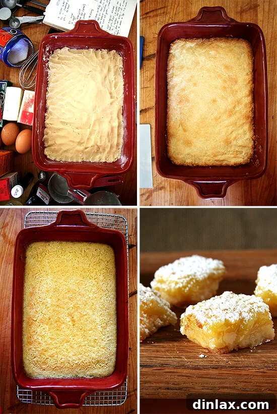 Lemon Bar Evolution The delightful evolution of lemon bars from a baked sheet to perfectly cut, powdered sugar-dusted squares.