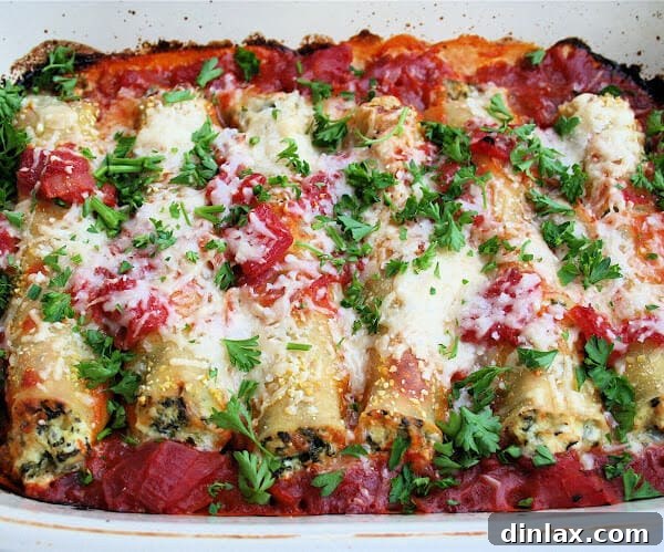 Orange Coast Magazine Spotlights Delaneys Cannelloni 5 Delicious baked cannelloni with rich tomato sauce and golden cheese crust, ready to serve