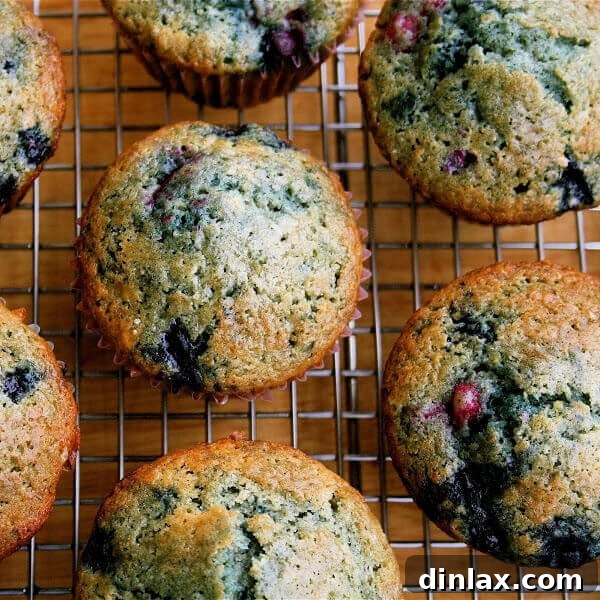 Homemade Tri-Berry Muffins, golden brown and ready to eat.