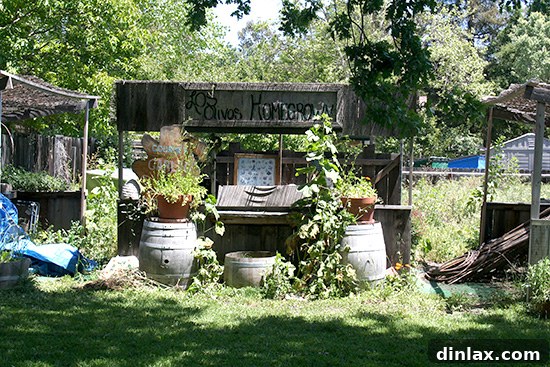 A charming street scene in Los Olivos, California, known for its picturesque main street, bustling wine tasting rooms, and unique boutique shops, under a bright sky.