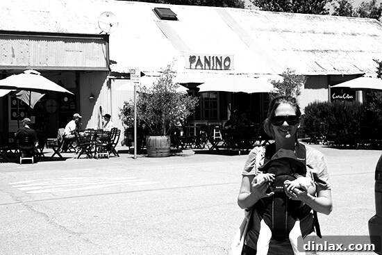 The inviting storefront of Panino, a popular sandwich shop in Los Olivos, California, known for its fresh, gourmet, and generously filled offerings.