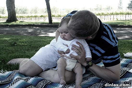 Expansive and meticulously maintained vineyards at Bridlewood Winery in Santa Ynez, California, showcasing endless rows of grapevines under a clear, sunny sky.