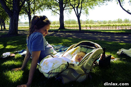 A serene and sweeping view of rolling vineyards, characteristic of the beautiful Santa Ynez Valley wine region, bathed in natural light.