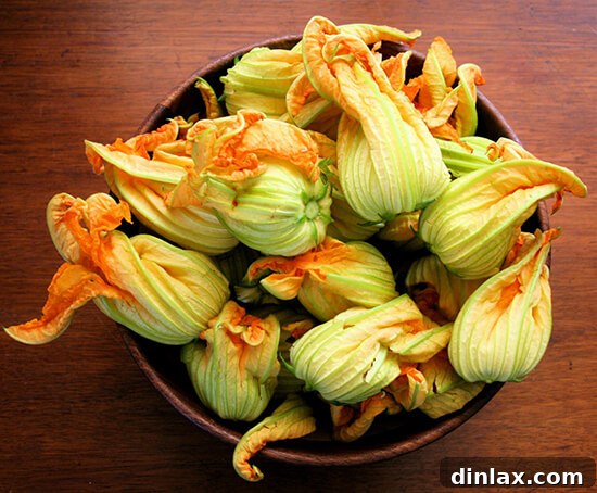Delicious fried squash blossoms, a summer delicacy made from delicate edible flowers found at local farmers' markets. Perfect for seasonal cooking and gourmet recipes.