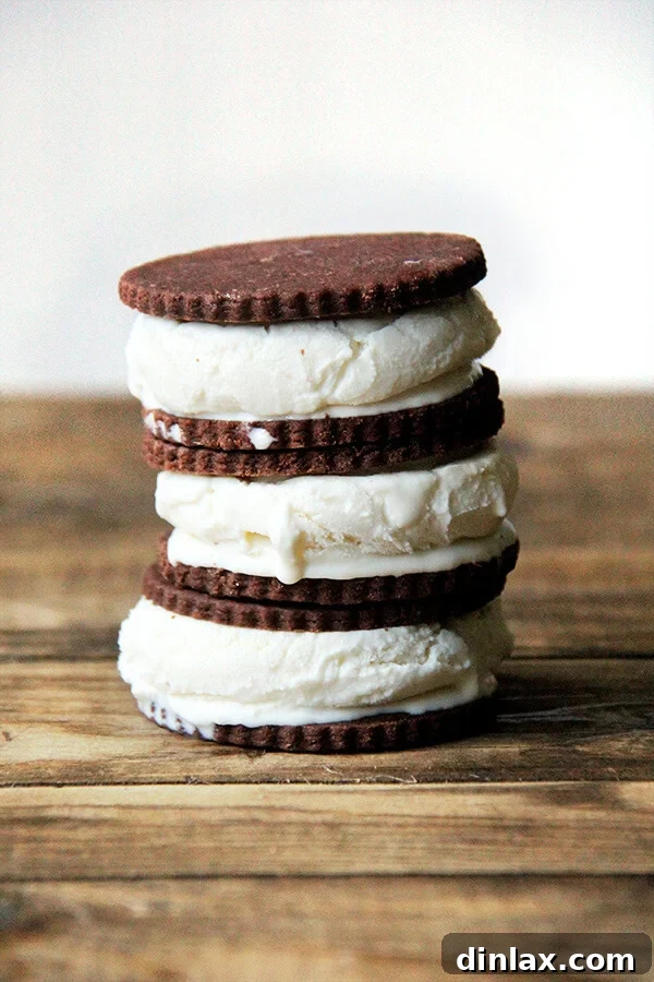 Rich cocoa TKO cookies embrace creamy vanilla ice cream, forming the perfect soft-batch homemade ice cream sandwich. A truly delightful frozen treat that won't squirt out the sides!