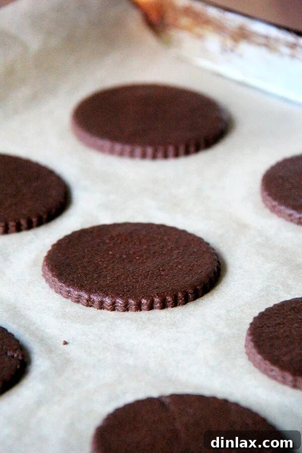 TKO cookies arranged on a baking sheet before their quick bake, destined to become delicious ice cream sandwich components.