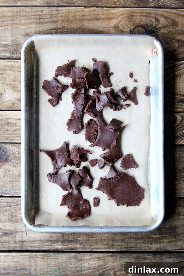 Baked TKO cookie scraps, perfect for grinding into crumbs to top ice cream or other desserts.