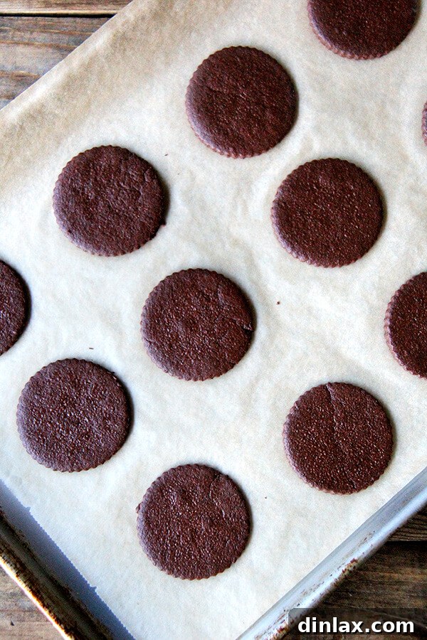 Freshly baked TKO cookies after 5 minutes, cooled on the sheet pan to achieve the ideal soft texture for ice cream sandwiches.