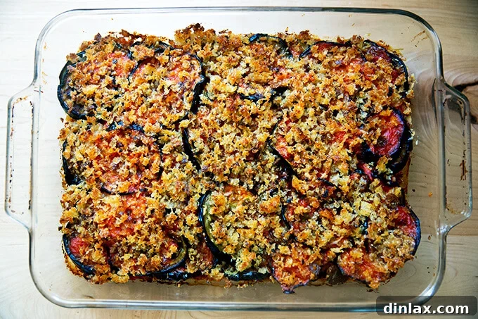 Freshly baked eggplant parmesan, hot and bubbly with a golden crust, in a 9x13-inch pan.