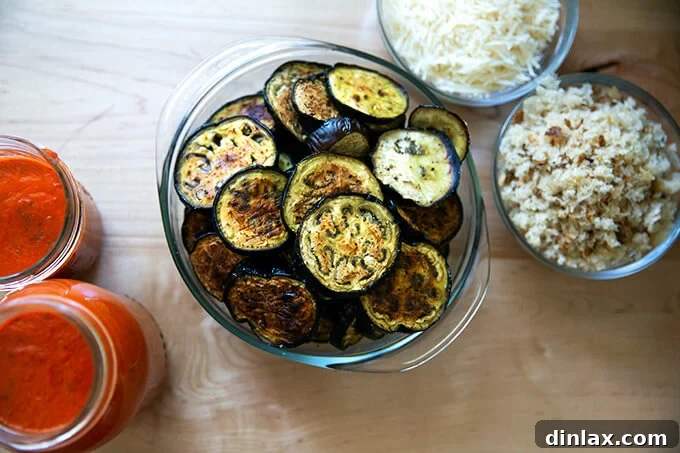 All the necessary ingredients for eggplant parmesan - roasted eggplant, tomato sauce, grated Parmesan, and fresh bread crumbs - arranged on a kitchen counter.