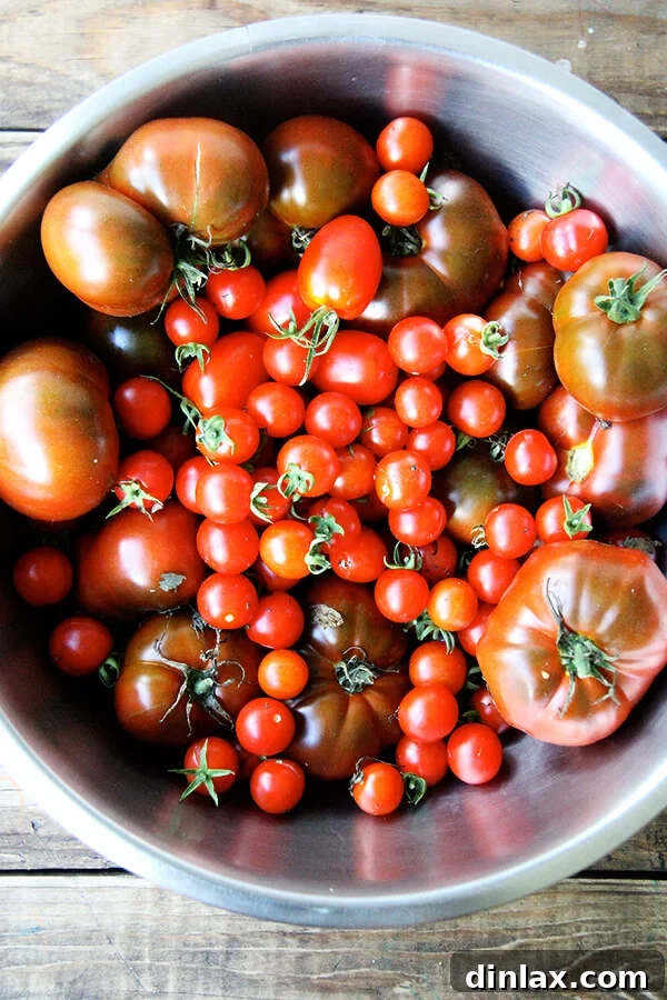 A beautiful bowl filled with just-picked, ripe red tomatoes, ready for making fresh salsa.