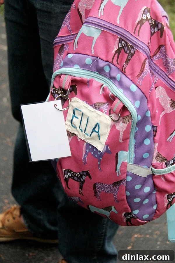 Homemade Granola Bars for Back-to-School 8 A colorful backpack, ready for the next school adventure, symbolizing new beginnings.