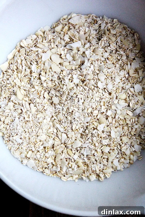 Homemade Granola Bars for Back-to-School 9 Dry ingredients for coconut almond granola bars: oats, sliced almonds, coconut, and millet.