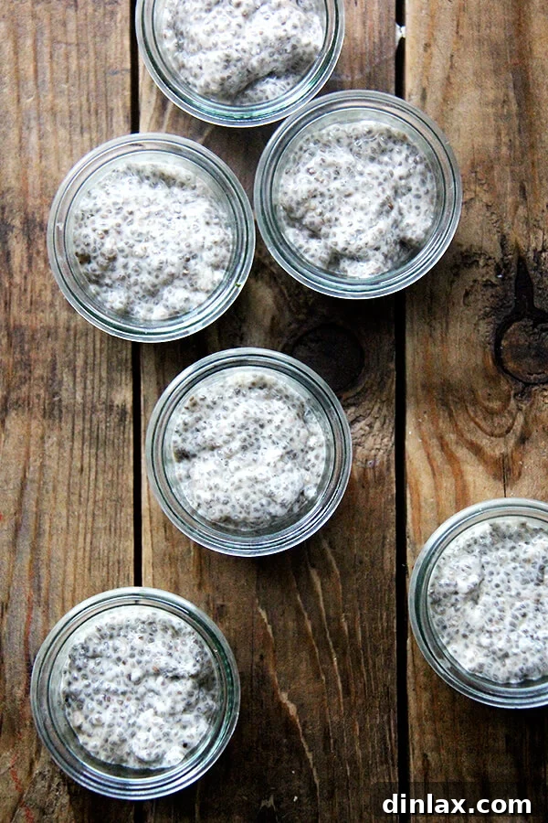 Individual Servings of Creamy Cashew Milk Chia Pudding