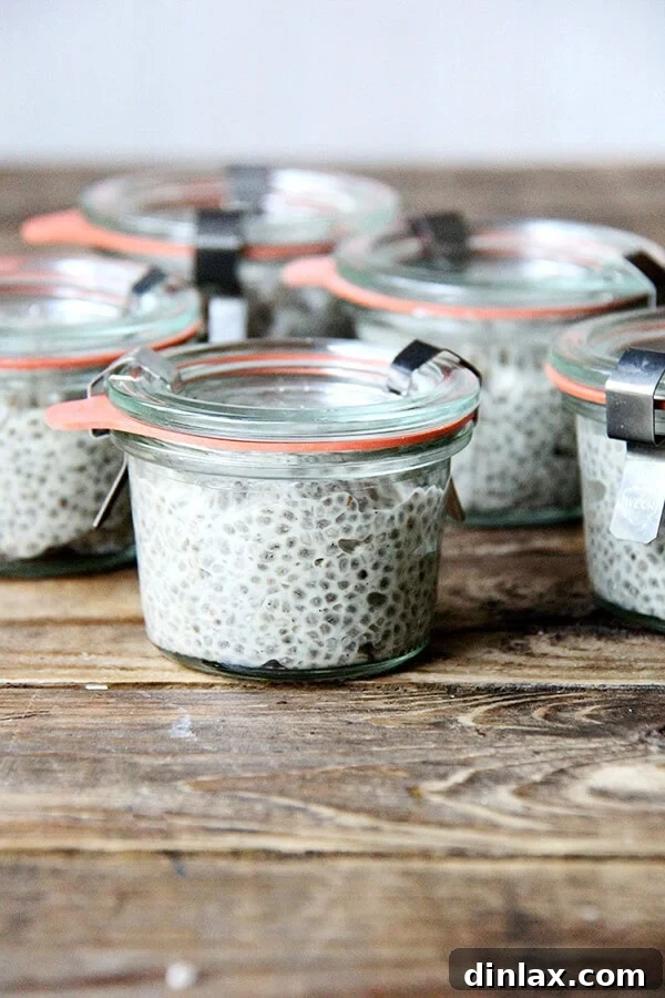 Delicious Vegan Chia Pudding with Cashew Milk, Maple Syrup, and Vanilla