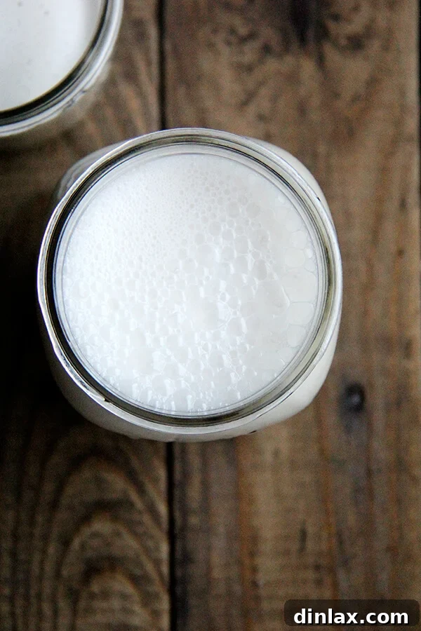 Freshly Made Homemade Cashew Milk