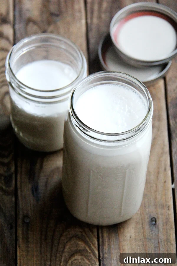 Bottled Homemade Cashew Milk for Storage