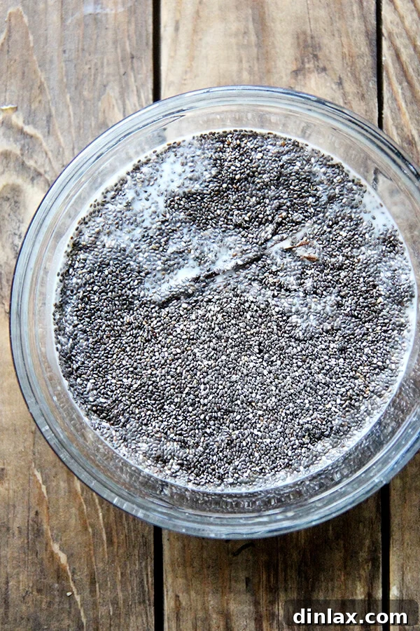 Vegan Chia Pudding Setting in Glasses