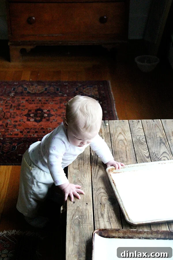 A charming dog patiently observes the kitchen activities, adding a heartwarming element to the cleanup scene.