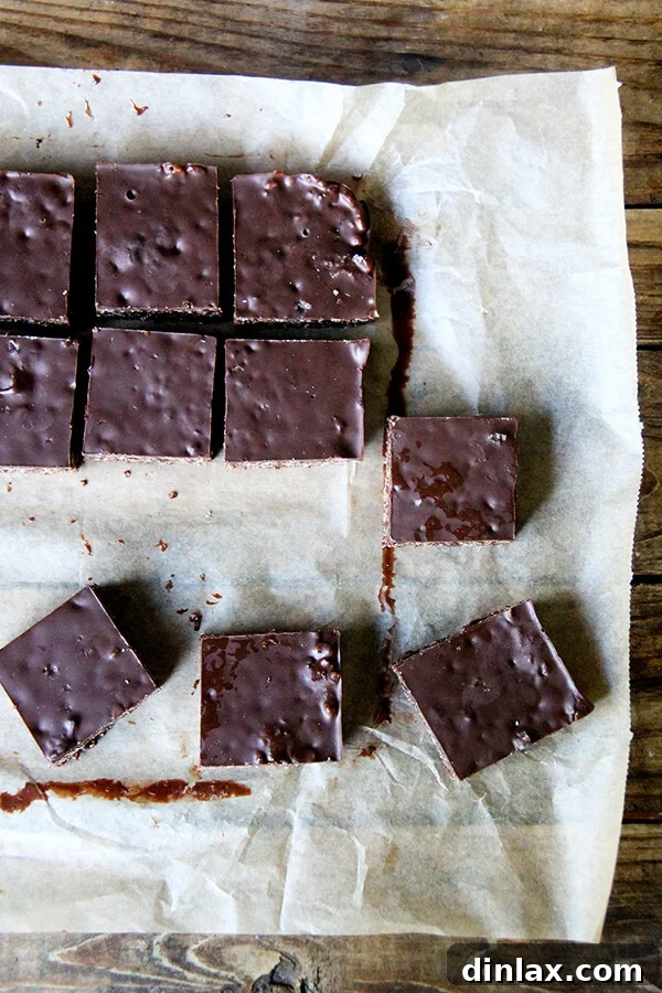A close-up shot of Hippie Crispy Treats, highlighting their rich chocolate topping and satisfying texture, perfectly set and ready to be savored.