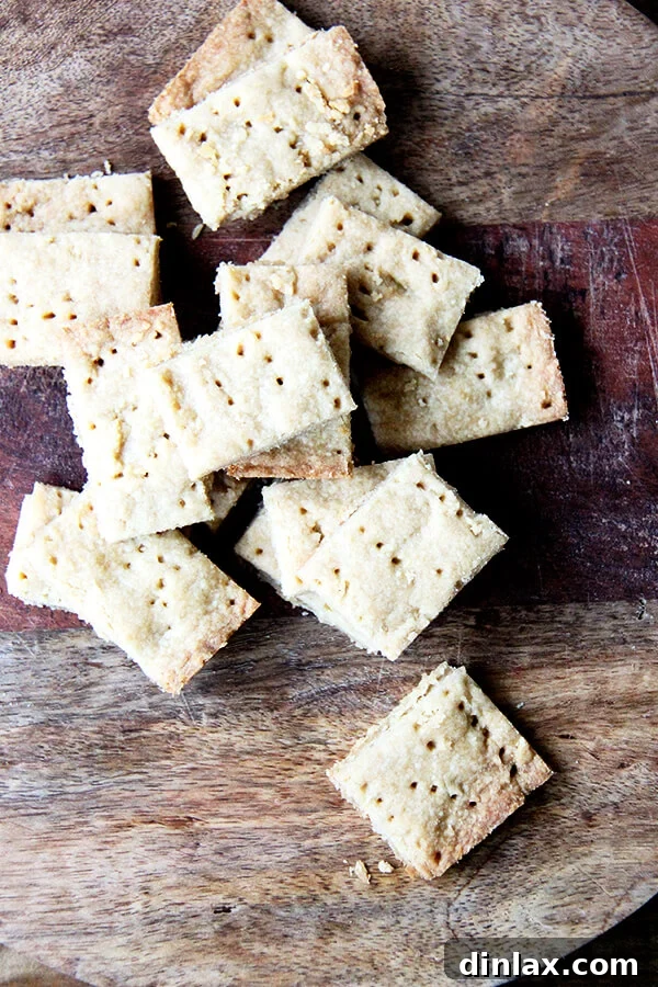 Delicious brown sugar shortbread cookies on a cooling rack, golden brown and perfectly scored. This classic shortbread recipe is incredibly easy, requiring just a few ingredients.