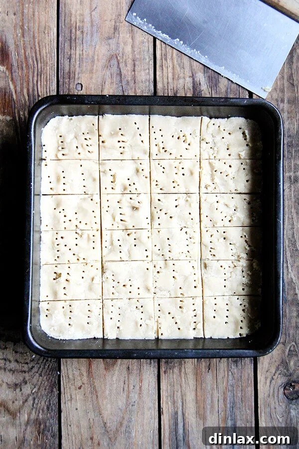 Brown sugar shortbread dough scored into rectangles and pricked with a fork before baking.