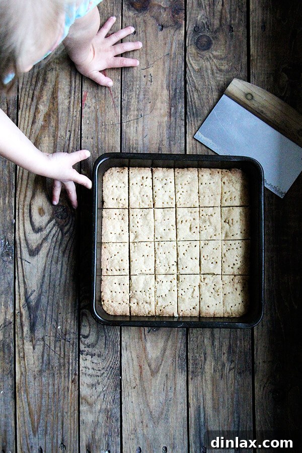 Freshly baked brown sugar shortbread, golden and perfectly cut into individual pieces in the pan.
