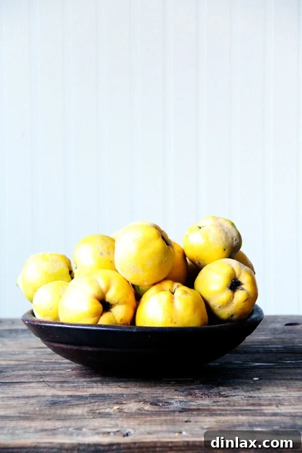 Crafting the Perfect Thanksgiving Feast: A Dream Menu of Savory & Sweet Delights Crafting the Perfect Thanksgiving Feast: A Dream Menu of Savory & Sweet Delights