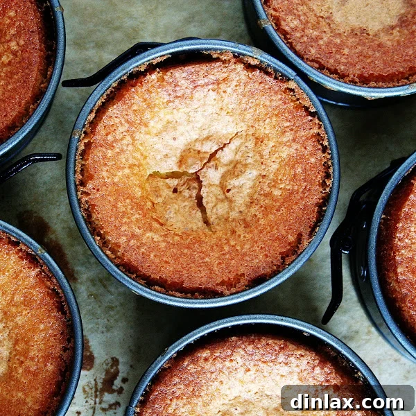 Effortless Thanksgiving: Skip the Turkey 11 img 21978 13