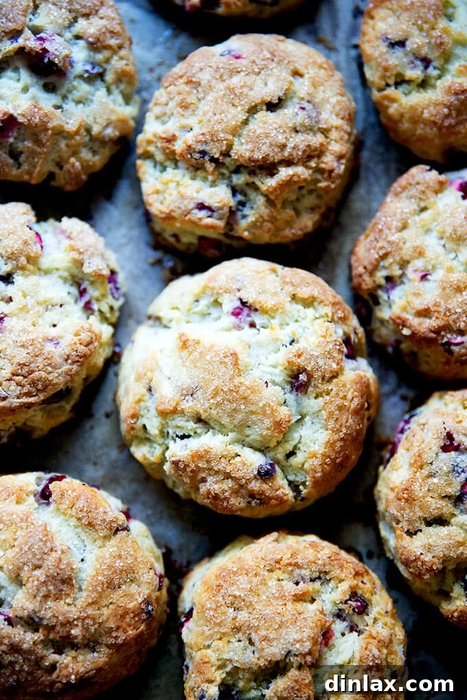 A sheet pan filled with golden-brown cranberry scones topped with turbinado sugar, emphasizing their appealing crust.