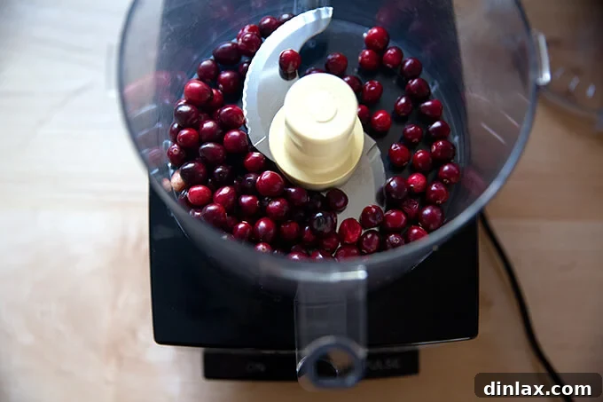 A food processor bowl filled with vibrant red fresh cranberries, ready to be pulsed.