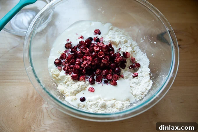 Freshly pulsed cranberries being added to a bowl of scone dough, showing the start of the mixing process.