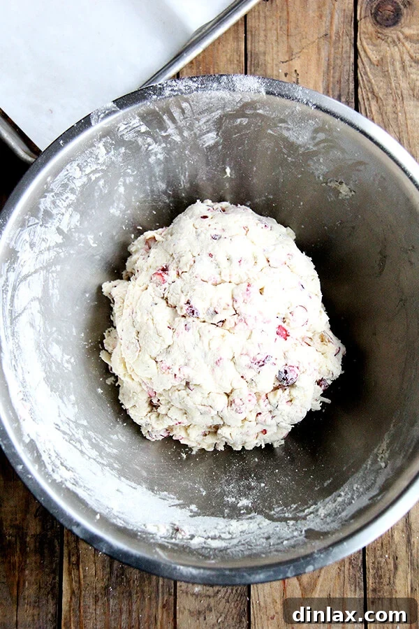 A large mixing bowl filled with freshly prepared cranberry scone dough, mixed and ready for shaping.
