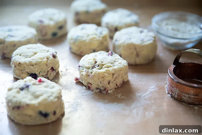 Various shapes of cut cranberry scones arranged on a floured work surface, ready for the baking sheet.