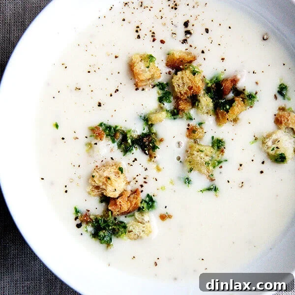A captivating image of MFK Fisher's creamy potato soup, ready to be enjoyed. This deeply satisfying and simple recipe is a perfect comfort food for cooler weather, highlighting tender potatoes and a rich, smooth texture.