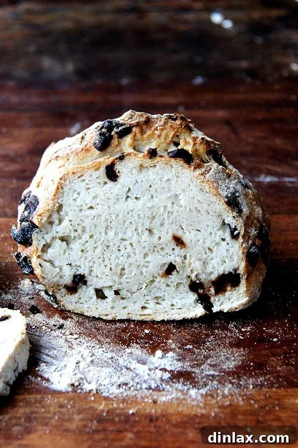Achieve perfect gluten-free artisan bread daily with minimal effort using the five-minute method. Delicious gluten-free artisan bread baked using the five-minute-a-day method, featuring a golden crust and airy interior.