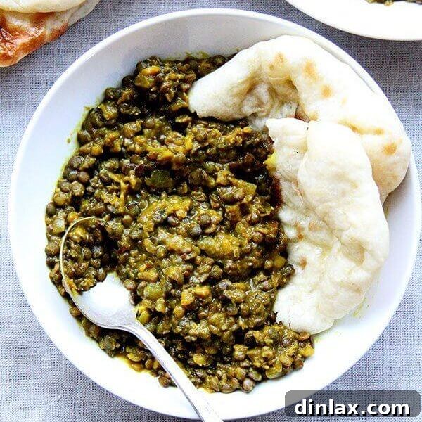 A beautifully plated bowl of Two-Lentil Dal, garnished with fresh cilantro, invitingly served. The dal exhibits its characteristic creamy and chunky texture, promising a hearty and flavorful meal.