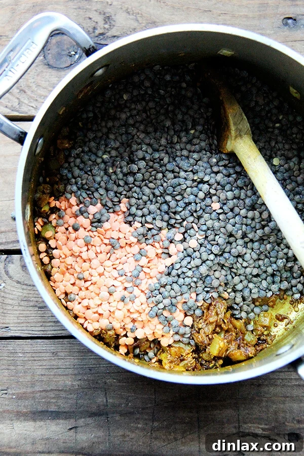 The cooking process captured as a mix of colorful lentils is added to the pot, joining the fragrant sautéed onions and toasted spices. This step marks the beginning of the simmering process that will transform the ingredients into a rich and flavorful dal.