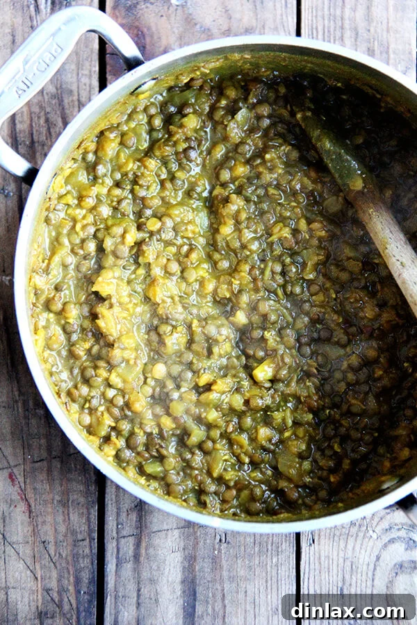 A comforting bowl of freshly made two-lentil dal, showcasing its appealing creamy and chunky texture. The dal is ready to be served, promising a delicious and satisfying meal. // alexandracooks.com