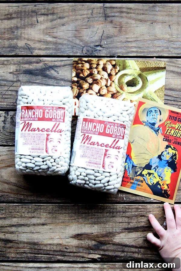 Rancho Gordo Marcella Beans, showcasing their high quality and delicate appearance.
