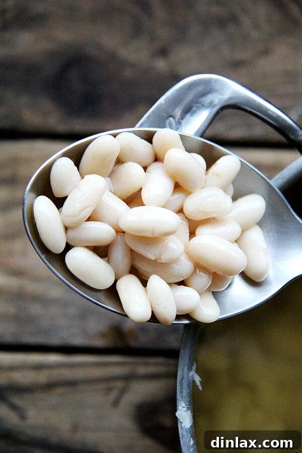 Cooked Marcella beans held in a spoon, demonstrating their tender texture.